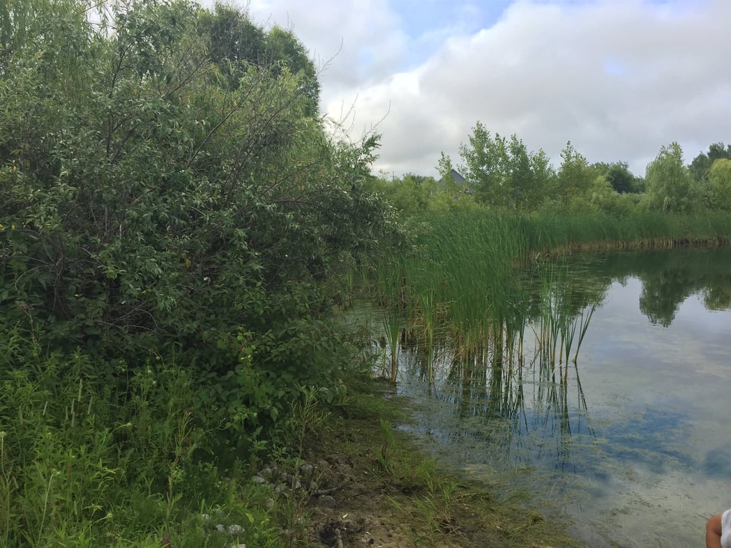 Freeland, Michigan Pond Management